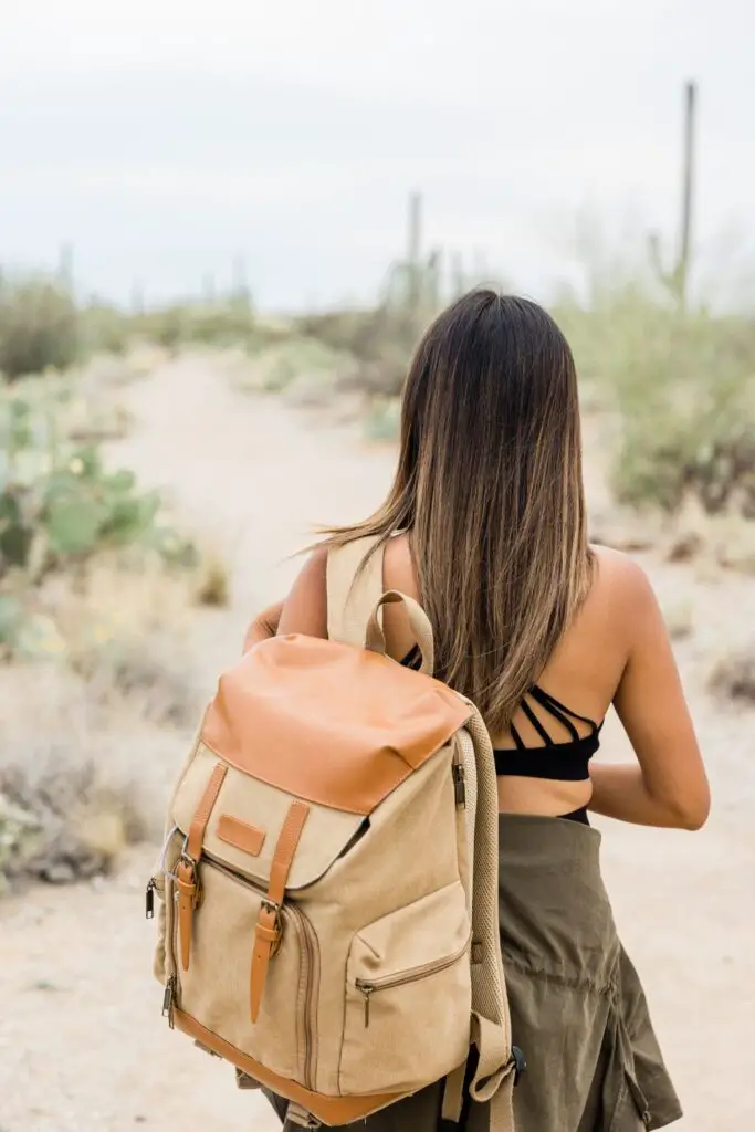 Creativity, Curiosity & Adventure
