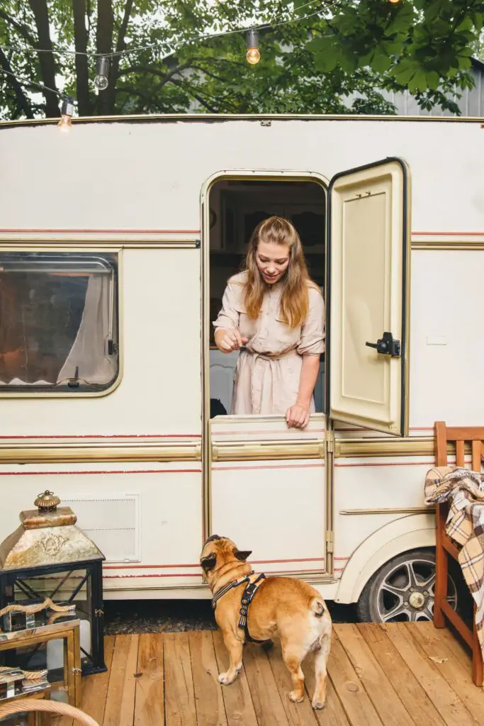 Tiny home or camper van renovation service