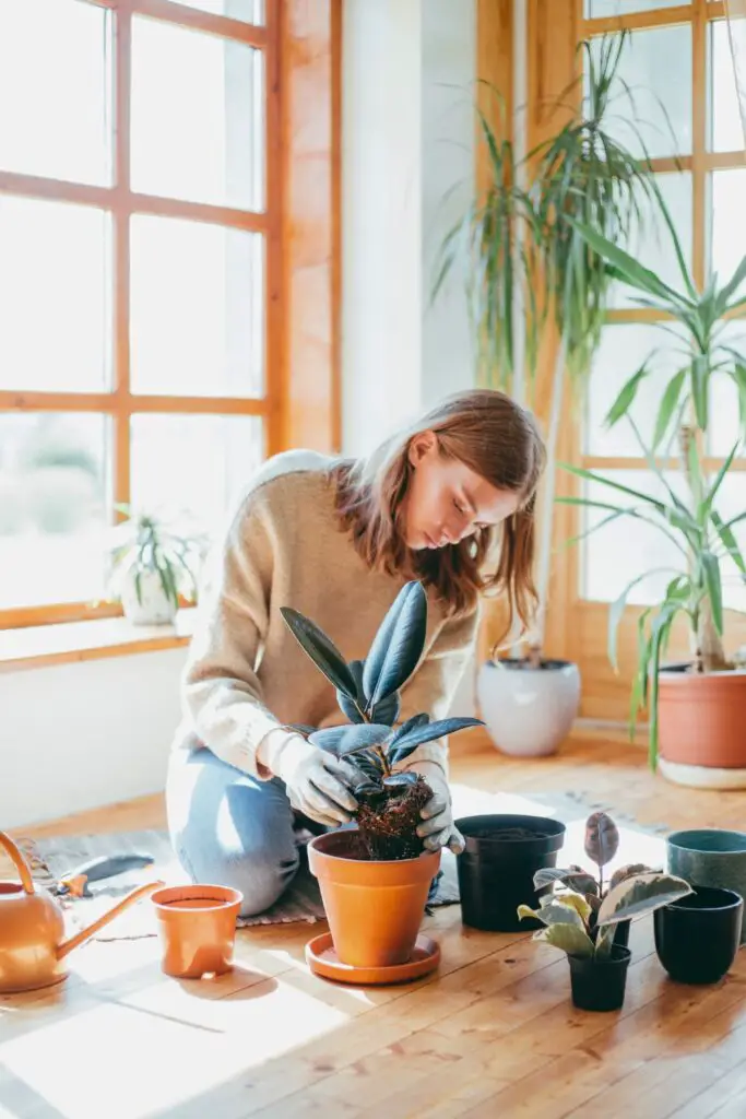Plant something